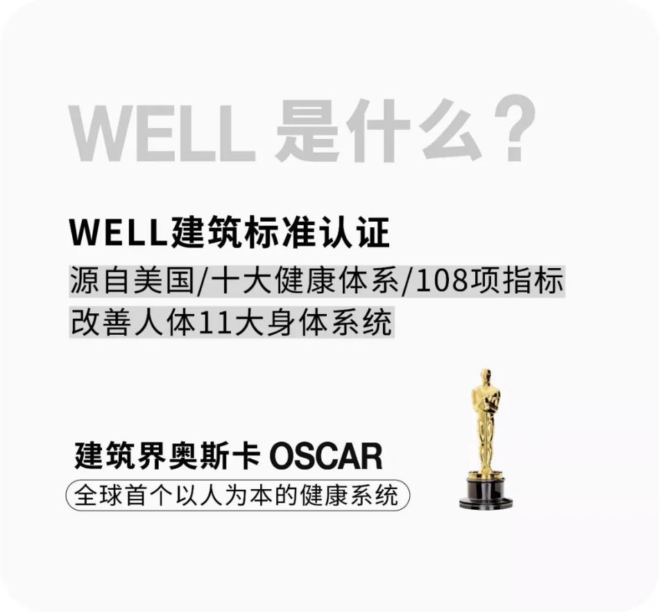 向新力系列纪录片,向新力纪录片