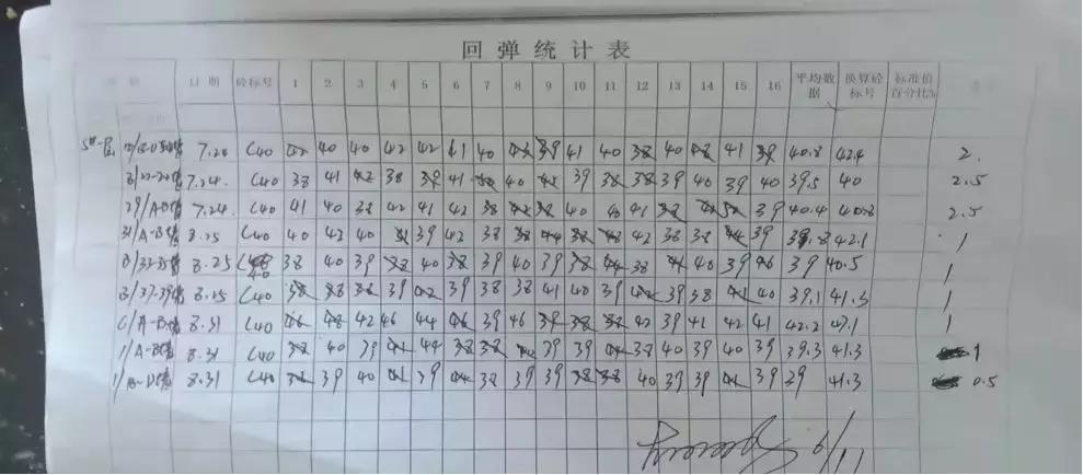 碧桂园这几年的发展,桂碧园园林景观