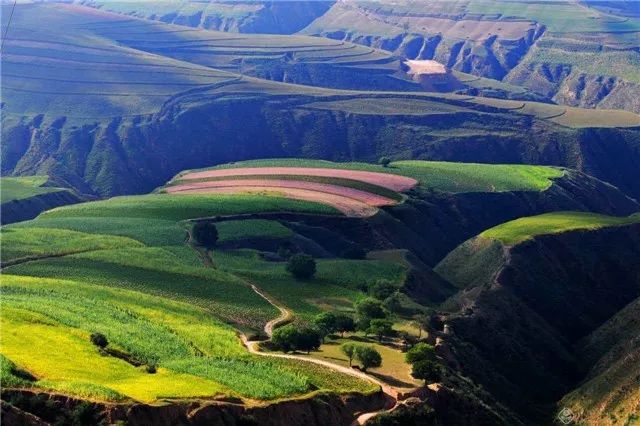 定边采油厂航拍,定边采油厂宣传片