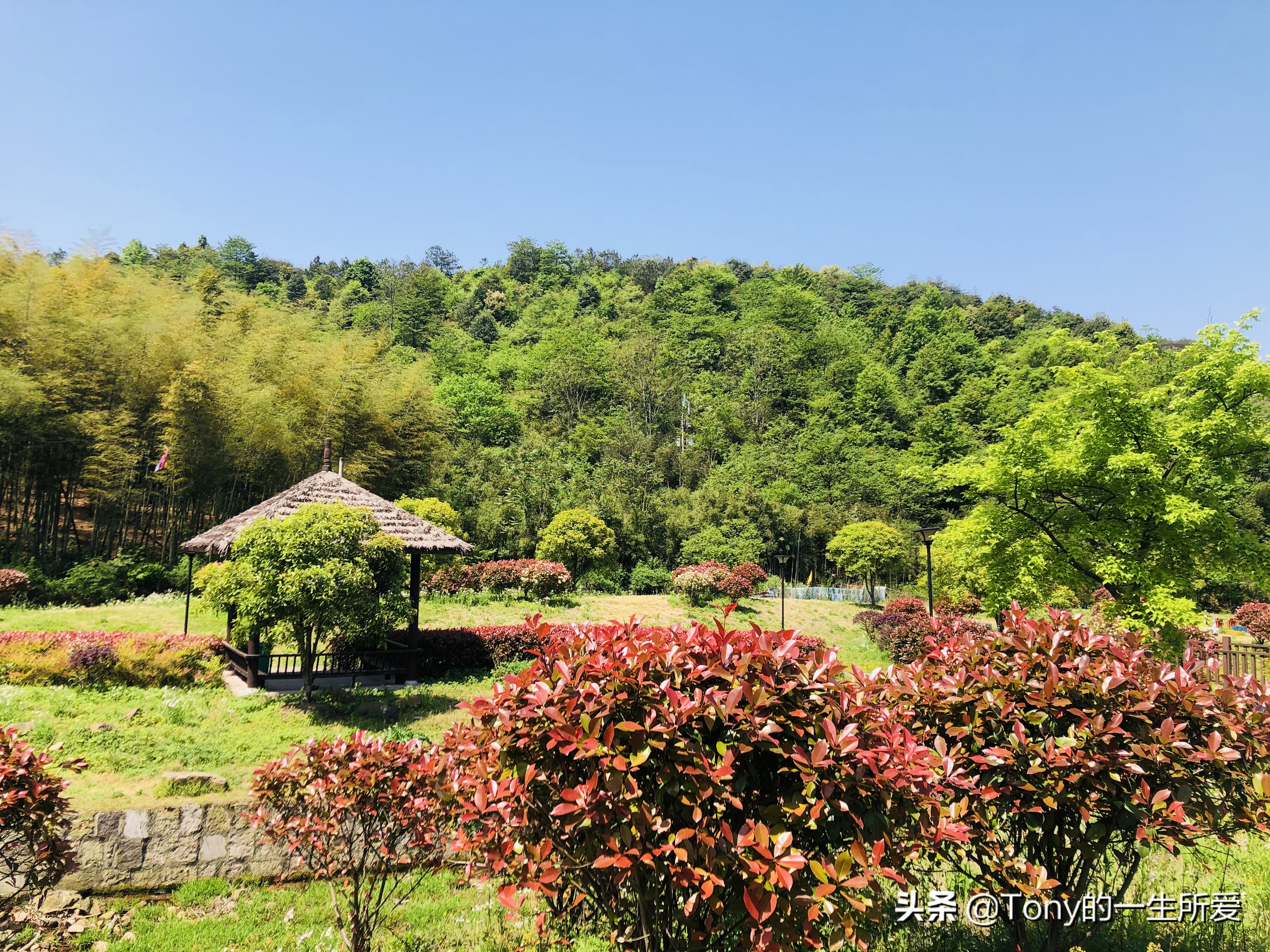 长亭古道旅游攻略,长亭外古道边古道在哪里