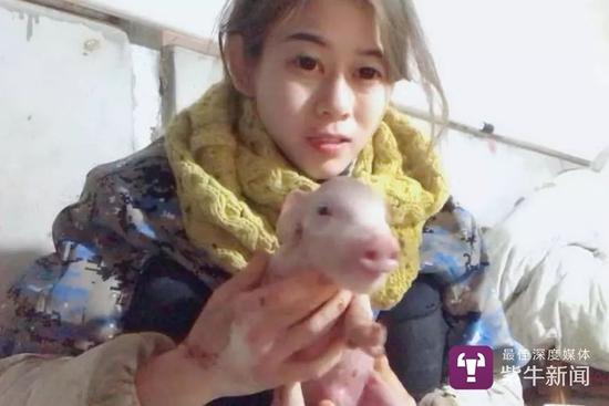 农村养猪年入百万的女孩,养猪的有钱女网红
