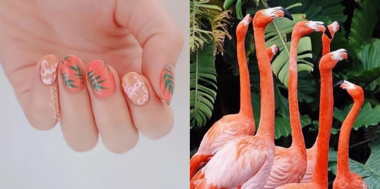 漂亮的仙女美甲推荐,甲片美甲款式网红仙女款