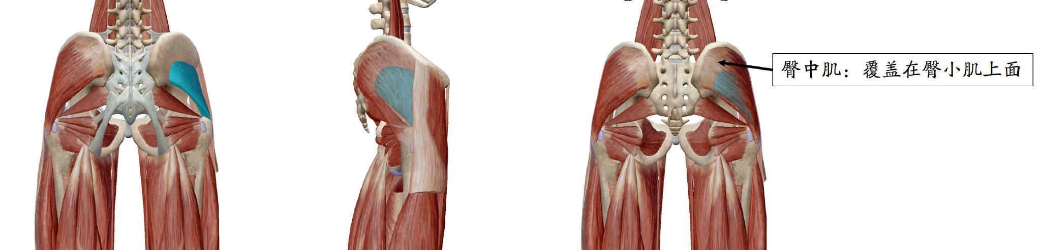 怎么打造蜜桃翘臀,翘臀打造最快的方法