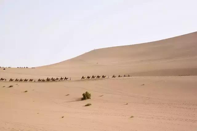 她的美是你无法企及的,她的美是不可方物的美