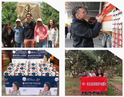 社区水果店经营模式和营销方法,水果店连锁店快速发展方案