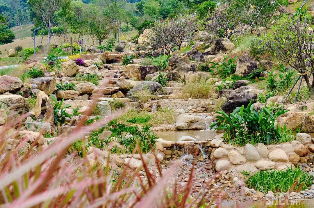 深圳龙华公园对外开放了吗,深圳市龙华新开的公园