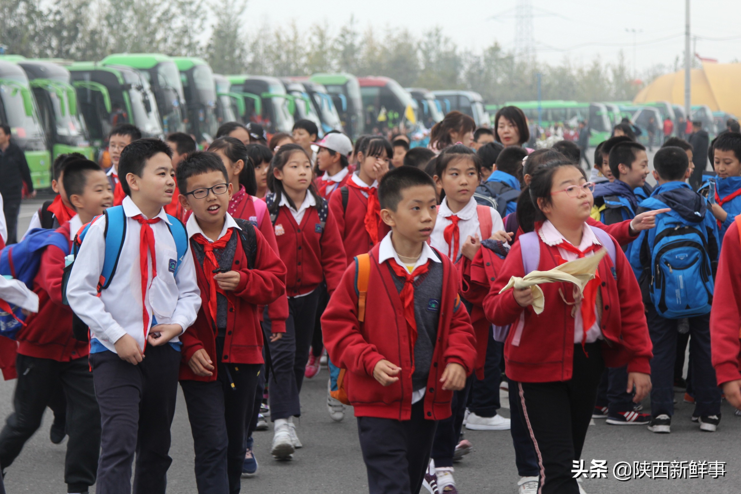 放飞海洋梦想感受丝绸传奇观后感,放飞海洋梦想感受丝路传奇研学题