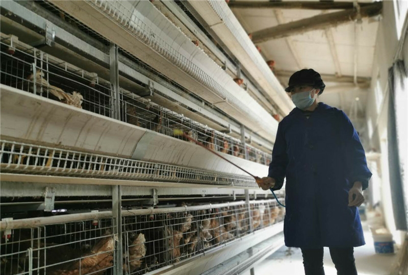 鹅肾肿治疗方法,鹅肾肿的原因