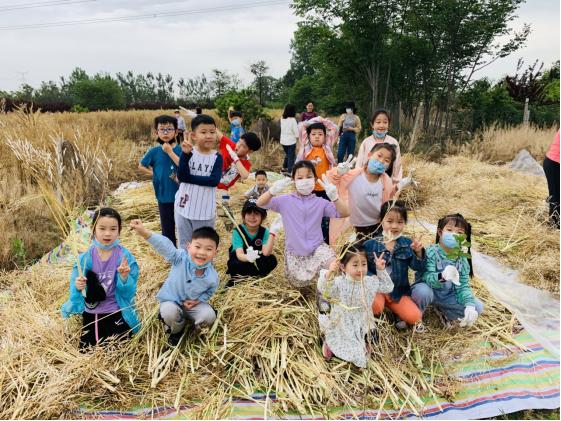 劳动课教学新思路新方法,如何设计一堂有特色的劳动课