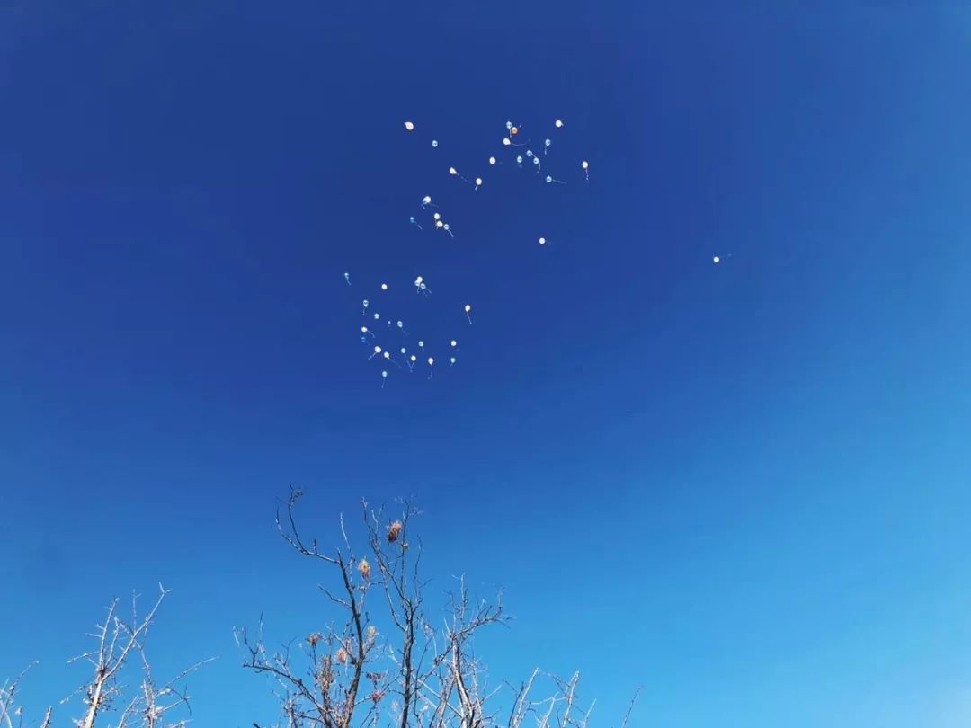 廊坊醒了廊坊醒了