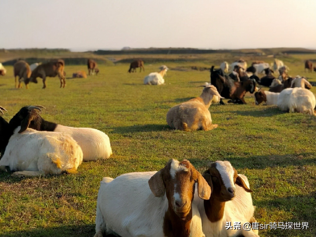 打卡南昌呼伦贝尔大草原,南昌呼伦贝尔草原行