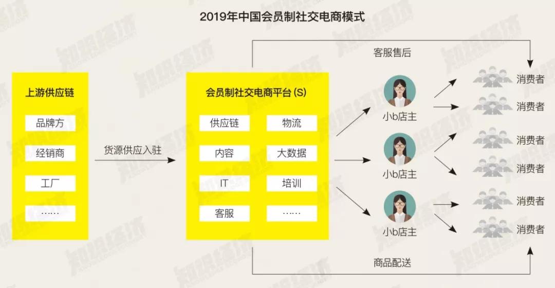 盘点2019微商、会员电商、内容电商、直播带货综合影响力Top10