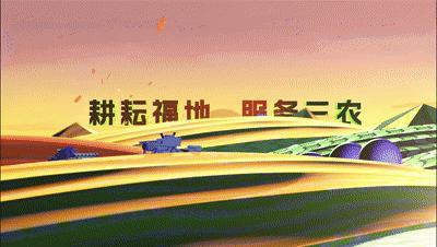 致富有道︱小小黄金百香果，托起乡村“致富梦”