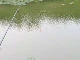 野钓急流水最佳方法,水又特别浑浊鱼又很少怎么才好钓