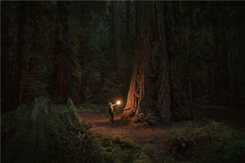 心理咨询这件事与我们的文化格格不入，但并不妨碍我们利用它探寻该如何活出“自己”