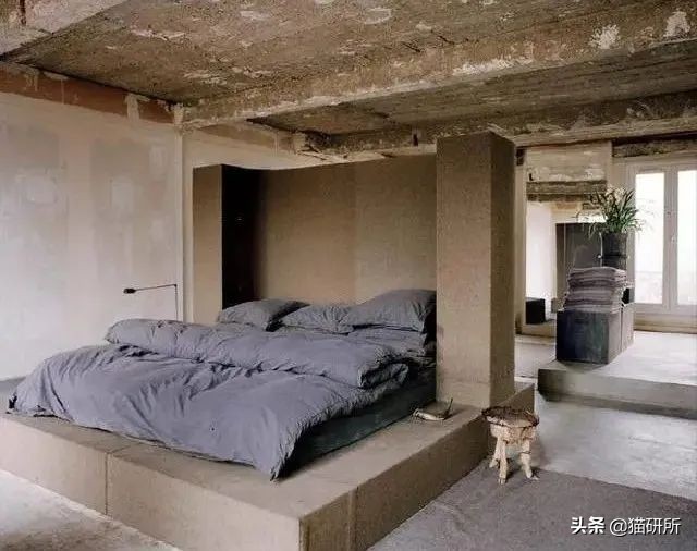 怎么惩罚猫咪挠沙发,猫咪不会挠坏的沙发