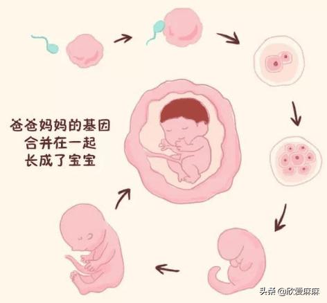 如何正确给孩子进行性教育,如何正确引导青春期孩子性教育