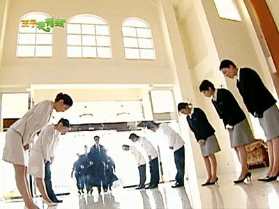 台版流星花园经典,流星花园电视剧全网看