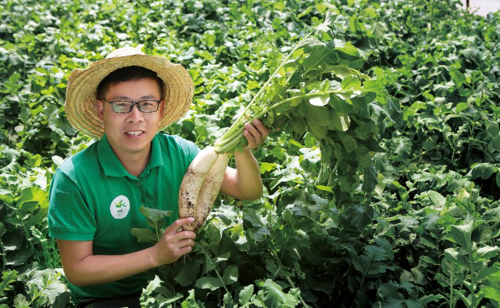 保食品安全,保春耕护粮安农资企业在行动