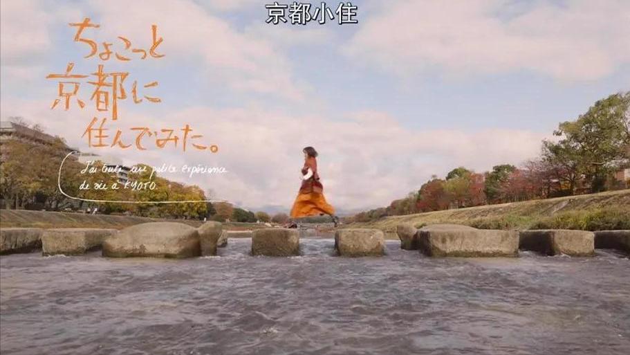 10部治愈心灵的电影推荐,治愈超解压的电影