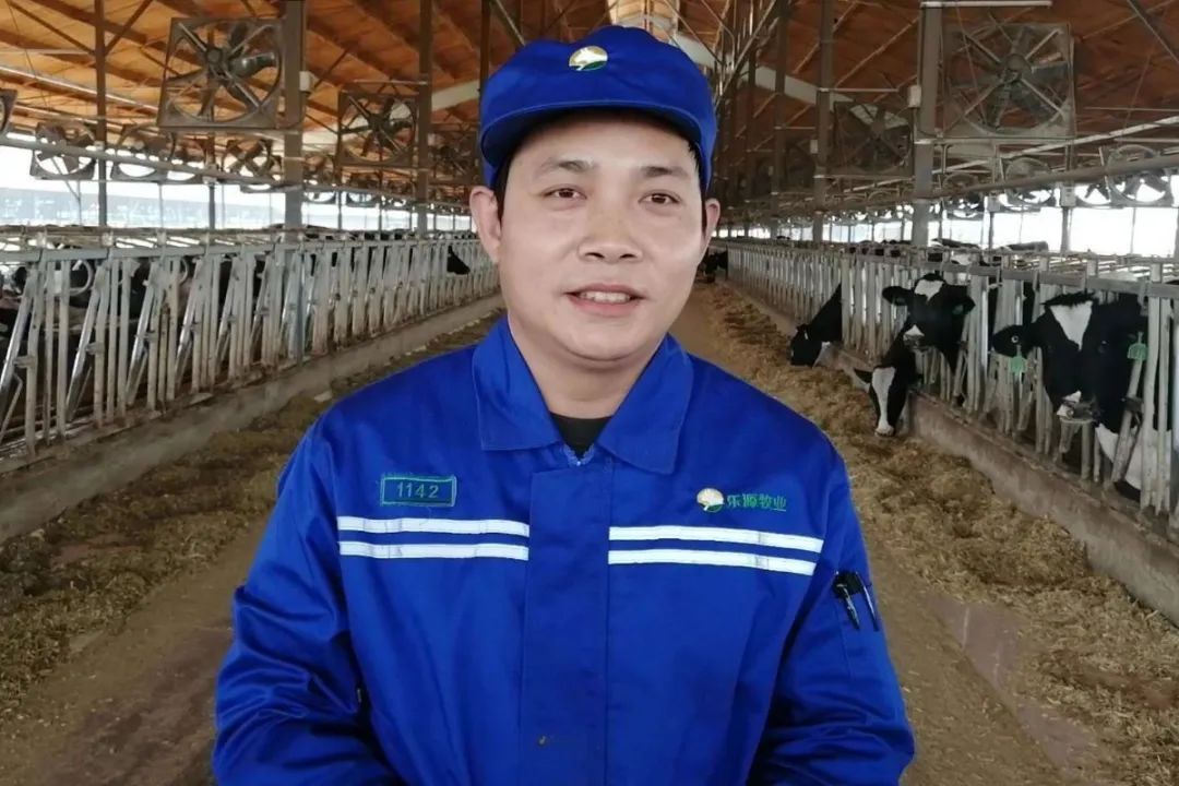 勃林格牛气学院首播|分享干奶期乳房炎管理秘诀