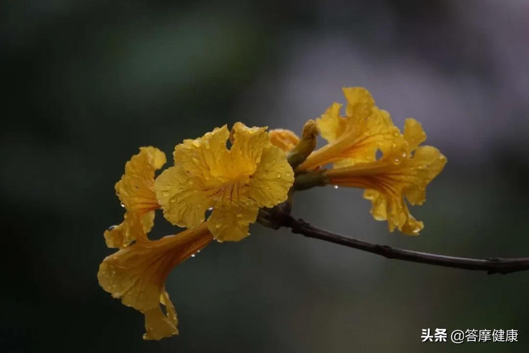 掌握世间源代码，了解一门高于世间维度的知识