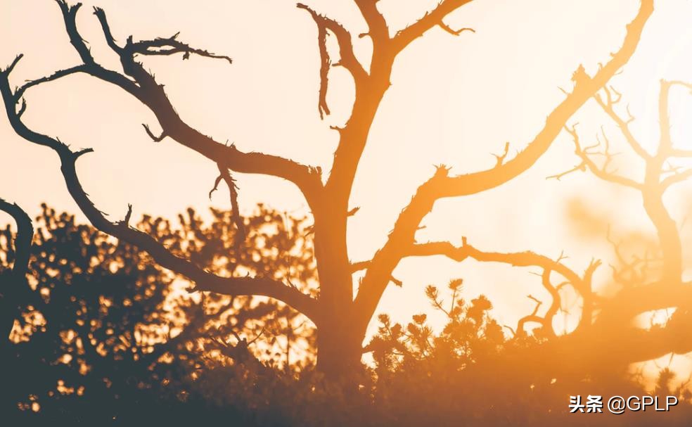 閲戣瘹闆嗗洟鐗硅壊灏忛晣,閲戣瘹闆嗗洟鏃椾笅灏忛晣