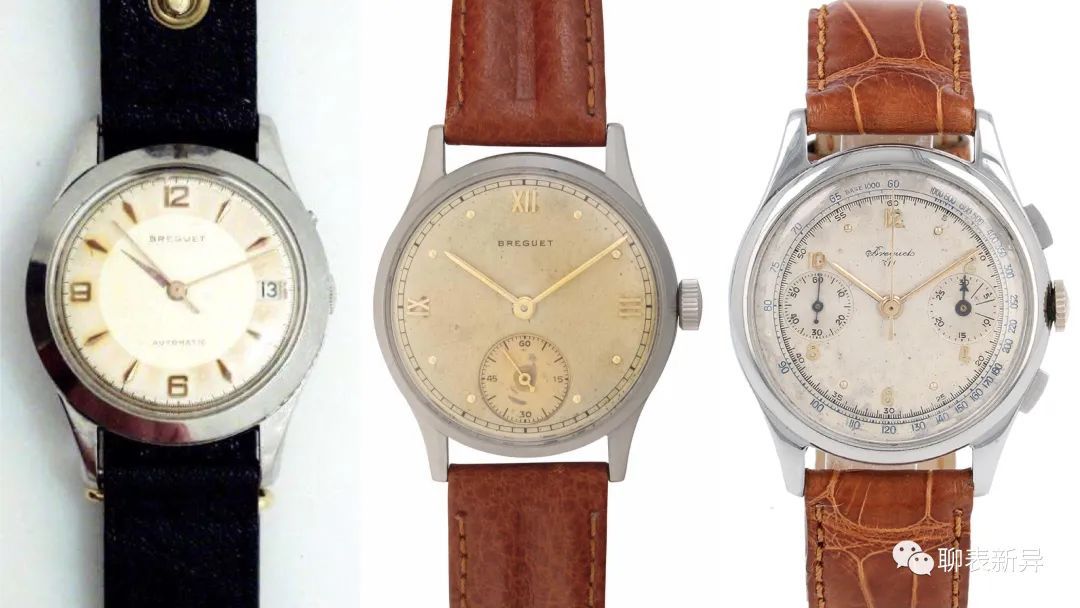 百里鸽是什么鸽,百里鸽是什么鸽图片