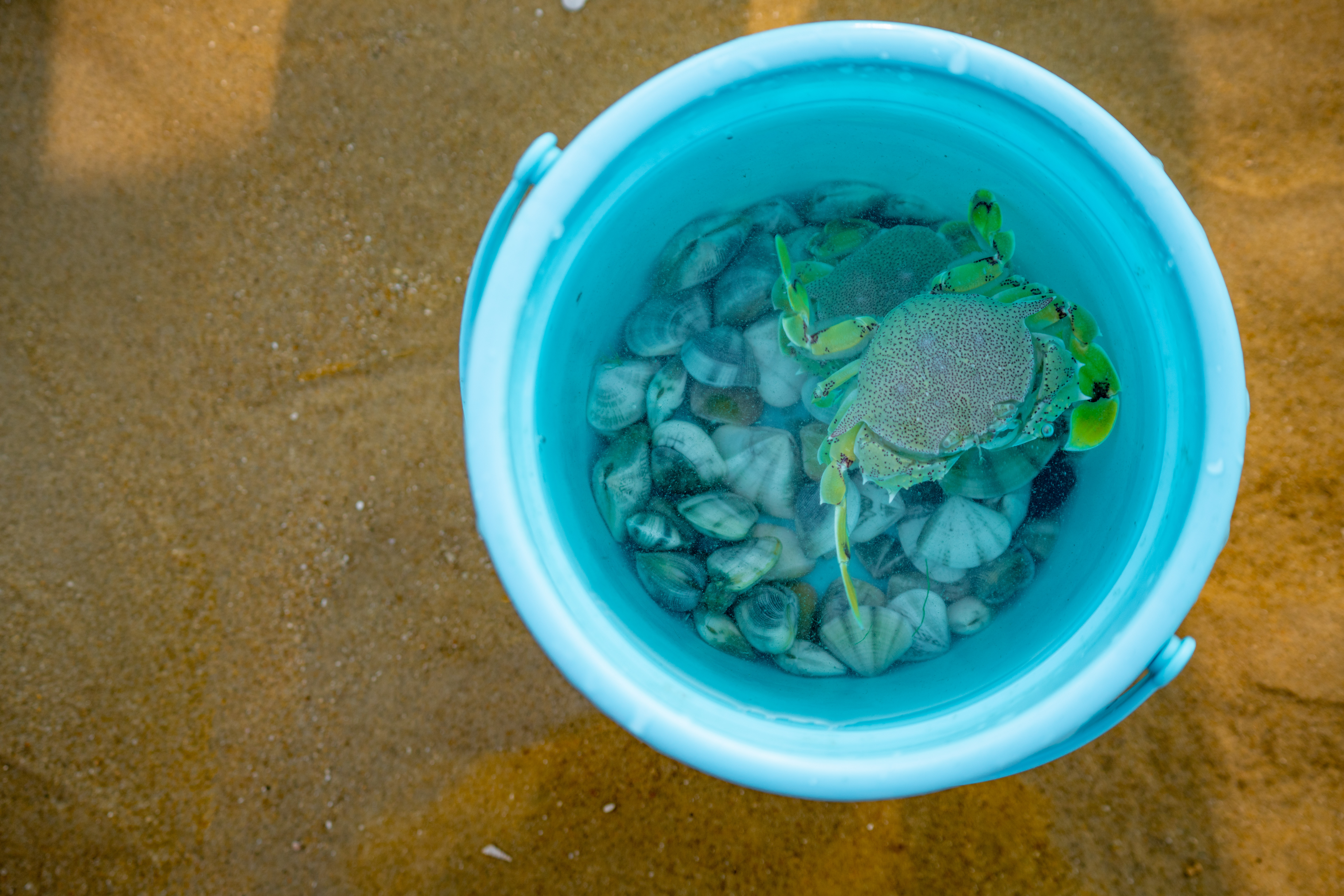 2天1夜哪里旅游预计每人200元,广东2天1夜人均200元