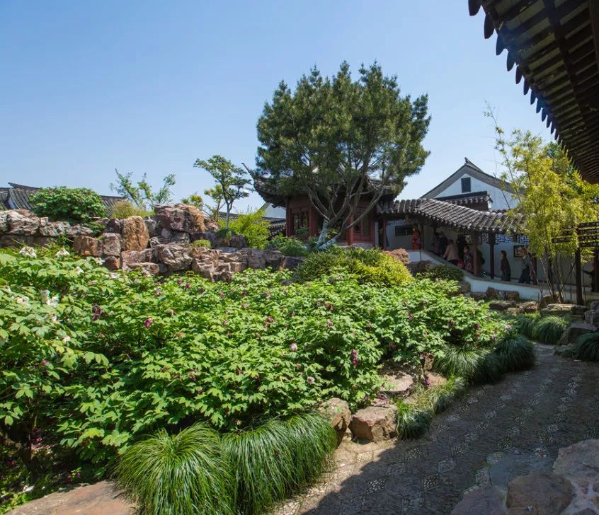 常熟旅游景点免费开放吗,常熟景区免费游玩攻略