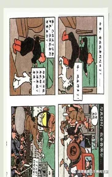 丁丁和丁丁历险记论文,丁丁历险记丁丁的服装