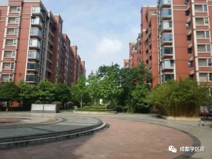 天府新区好的学区房有哪些,天府新区小学排名及周边楼盘