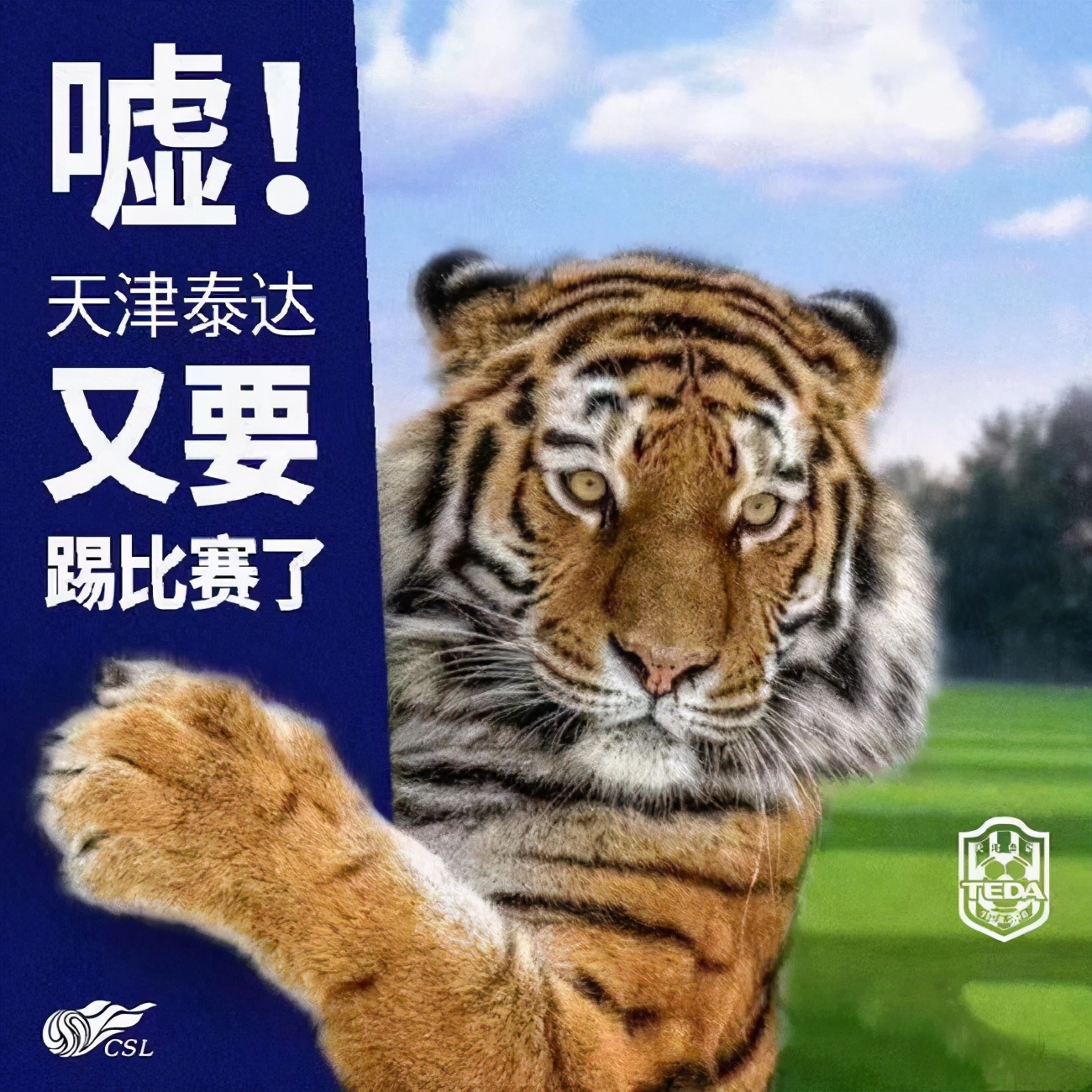 泰达足协,泰达引援津门虎