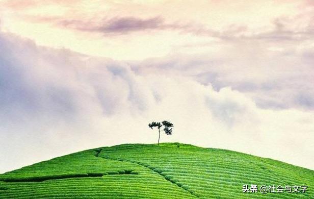 时运不济怎么及时化解,时运不济该怎么开导自己
