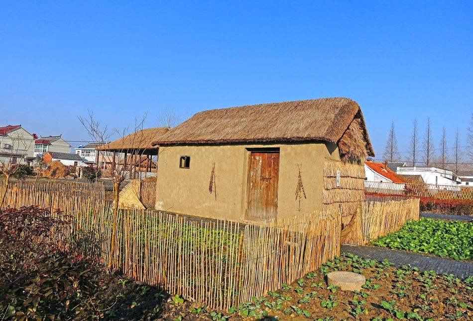 五年级八单元作文推荐一本书,五年级第八单元作文推荐一本好书