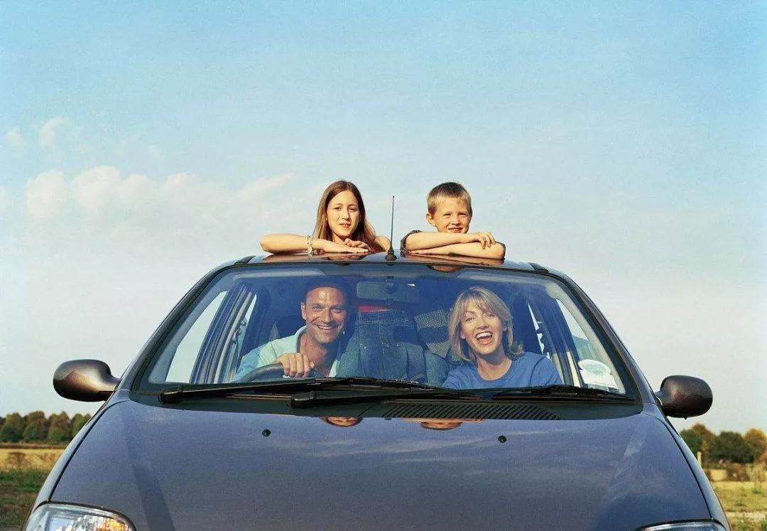 开车撞了小动物怎么处理,开车高速路上撞到小动物怎么化解