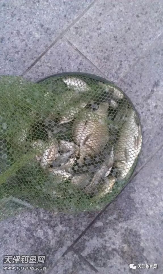 津南大学城，还是原来的地方，还是原来的味道