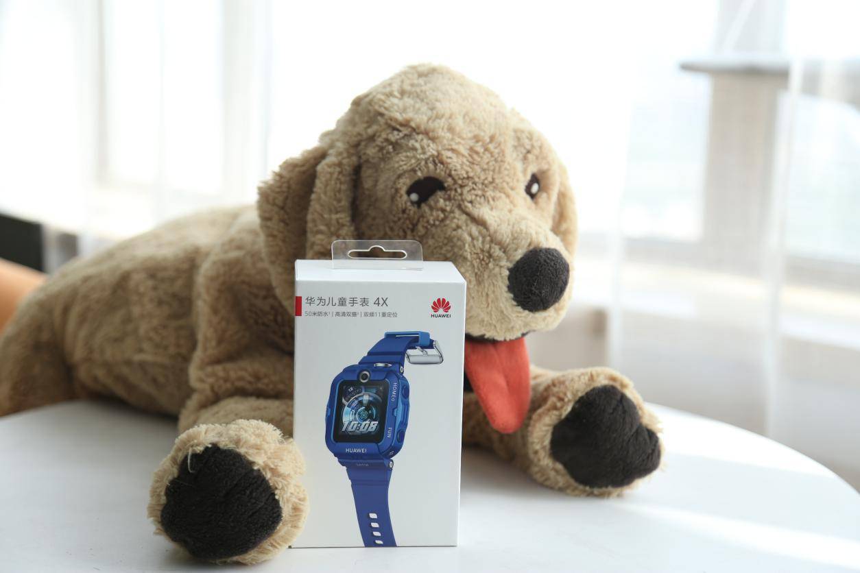 11重ai定位是什么,11重定位和13重定位