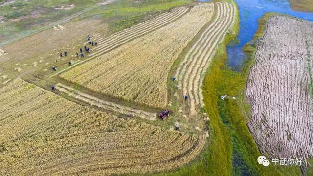 我的家乡在宁武用英语怎么说,我的家乡宁武特产