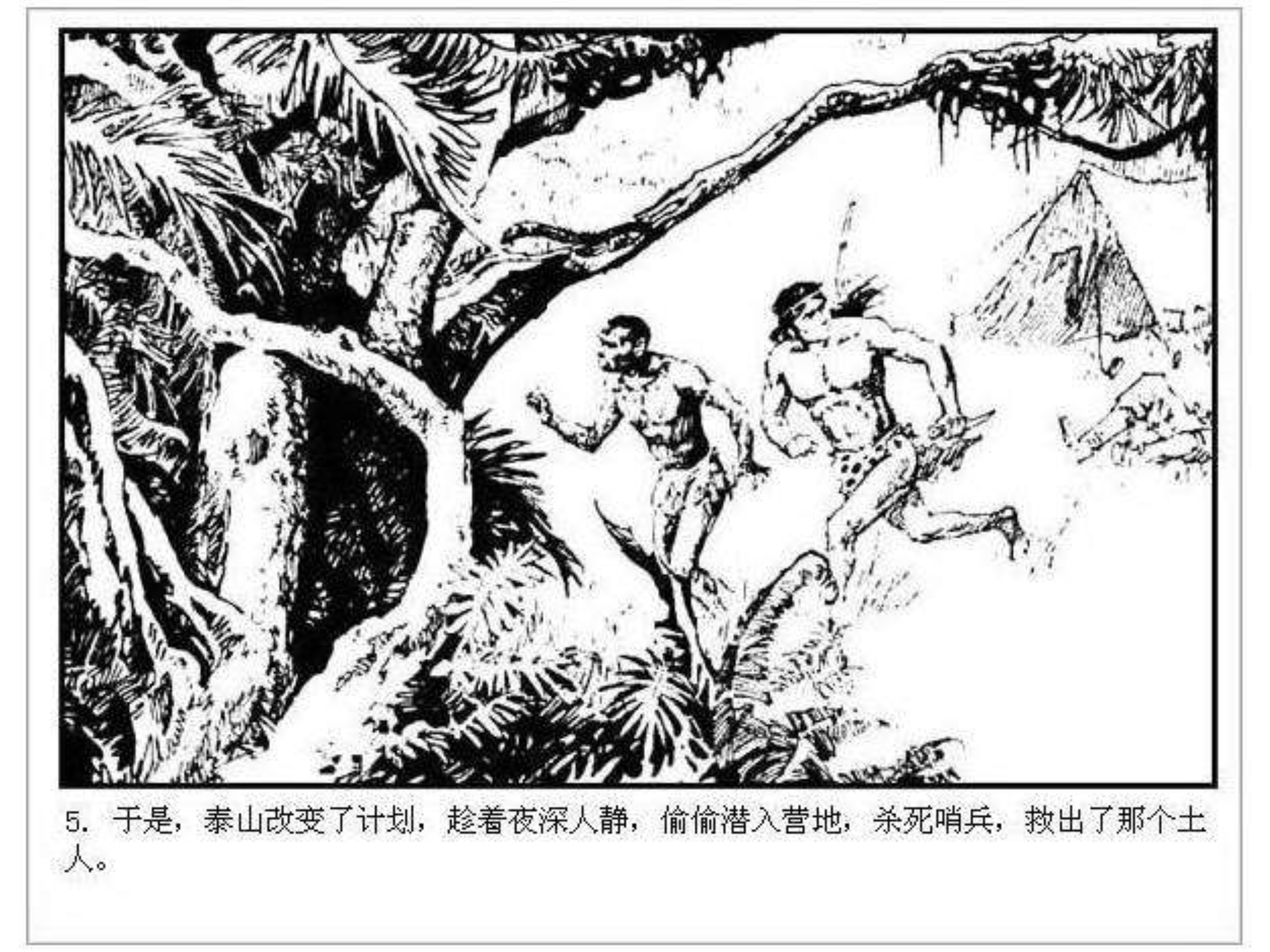人猿泰山卡通画,连环画泰山凯旋钱贵荪绘