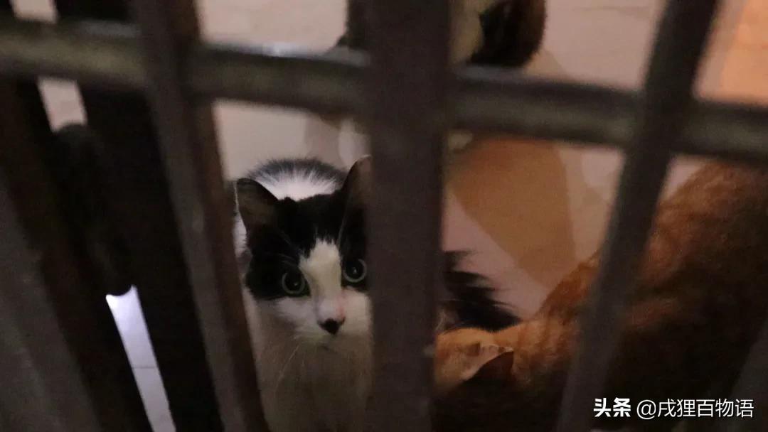 转发送粮，这次的E宠公益日记~看哭了