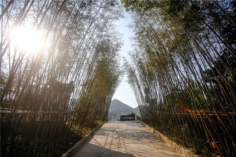 浙江杭州民宿3天二晚,浙江浦江登高村春社民宿