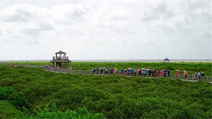 广西北海负氧离子怎么产生的,北海空气负氧离子含量是多少