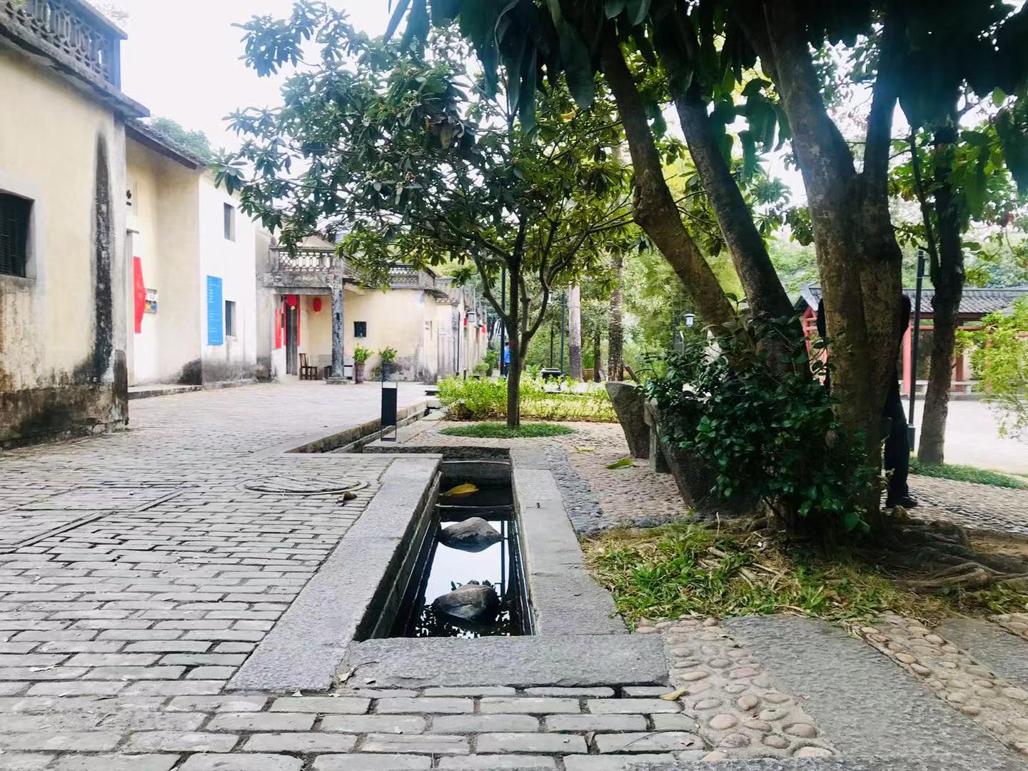 深圳观澜版画村的位置,观澜版画村还是版画基地