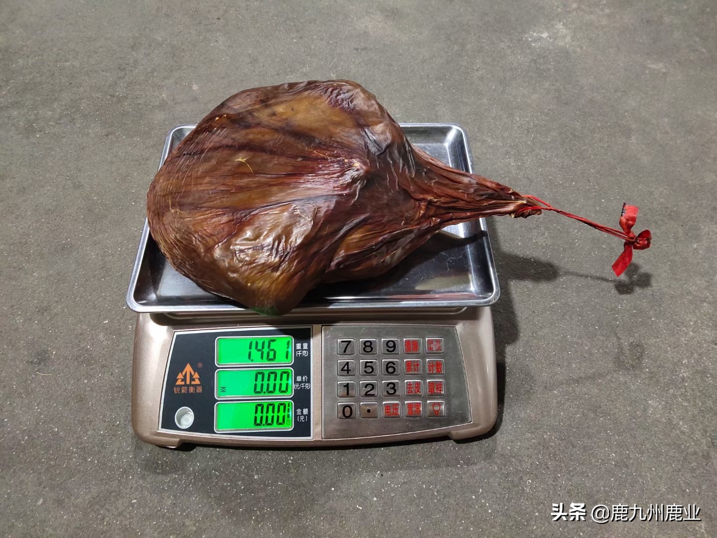 鹿九州鹿业：鹿胎是什么？鹿胎粉的正确吃法