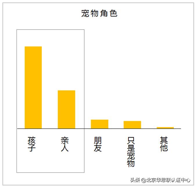 宠物电商为什么没有爆发,宠物行业电商市场