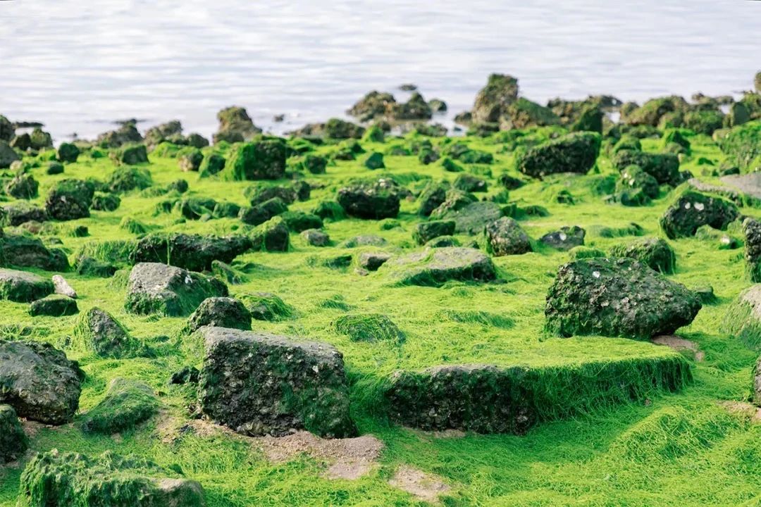 深圳看海去哪里比较好,深圳出地铁就看海的地方是哪里