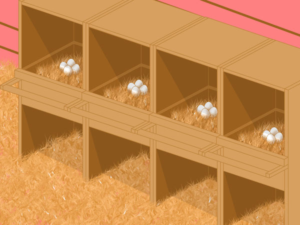 怎么防止鸡吃自己生的鸡蛋,防止鸡吃自己生的蛋的小妙招