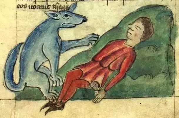 别动不动“累成狗”，汪星人表示不服！