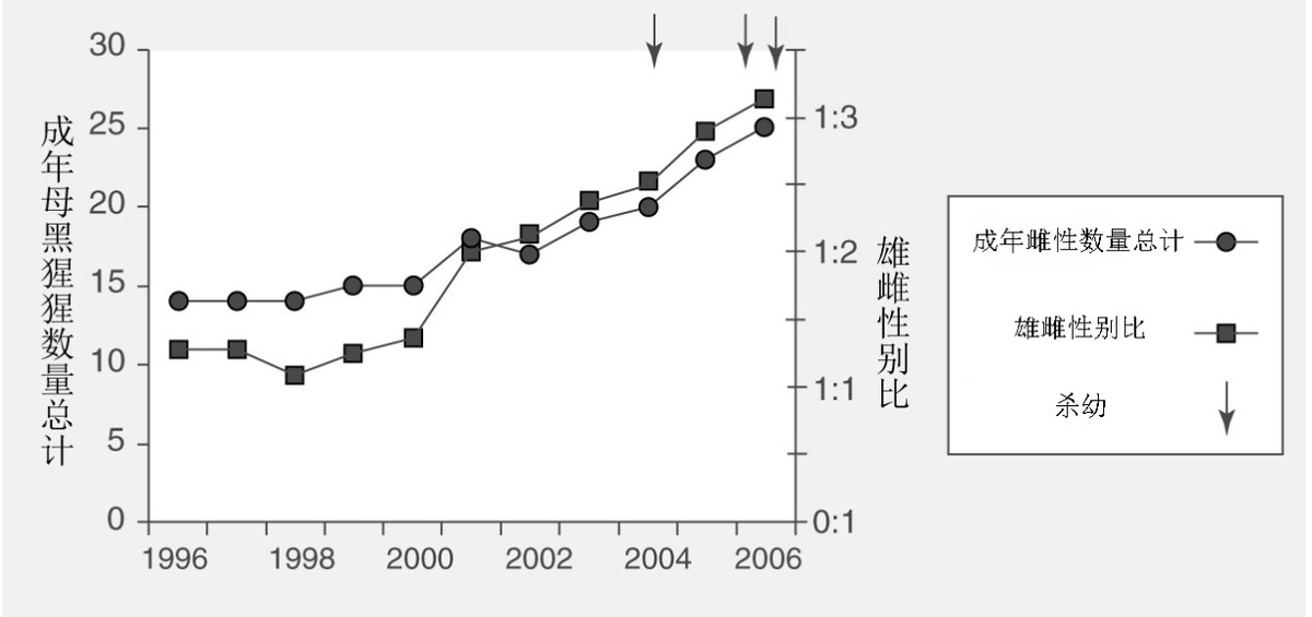 黑猩猩为什么吃掉幼崽,母猩猩咬死幼崽的原因